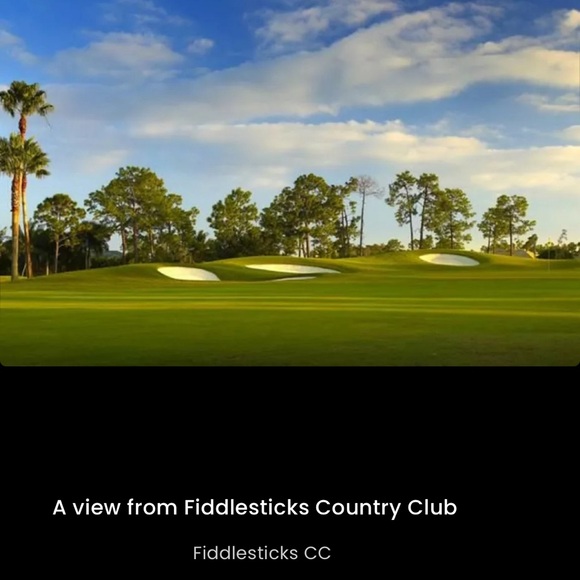 Bermuda Sands Purple Fiddlesticks Golf Polo Size L Wicking Performance Shirt Top - Picture 15 of 16